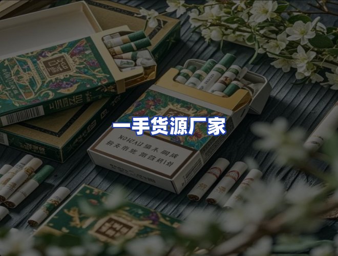 专业团队